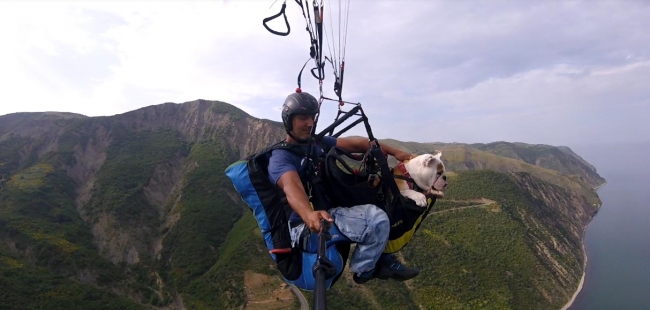 Köpeğiyle yamaç paraşütü yaptı
